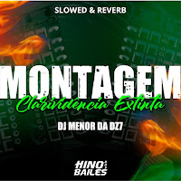 Dj Menor Da Dz7 - Montagem Clarividência Extinta (Slowed & Reverb) загрузить